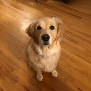 Meet your Posher, Mary